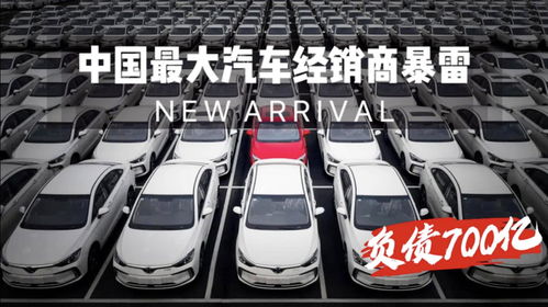 你中招了么 負(fù)債700億,中國(guó)最大汽車經(jīng)銷商暴雷